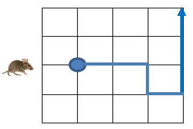 CM2-C1-Q3-A
