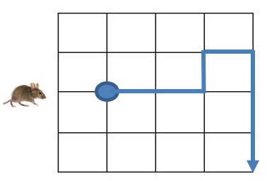 CM2-C1-Q3-B