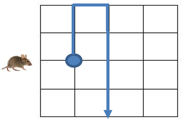 CM2-C1-Q3-C
